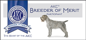 Breeder Of Merit