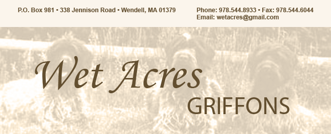 Wet Acres Griffons